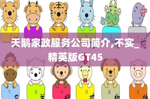 天鹅家政服务公司简介,不实_精英版GT45