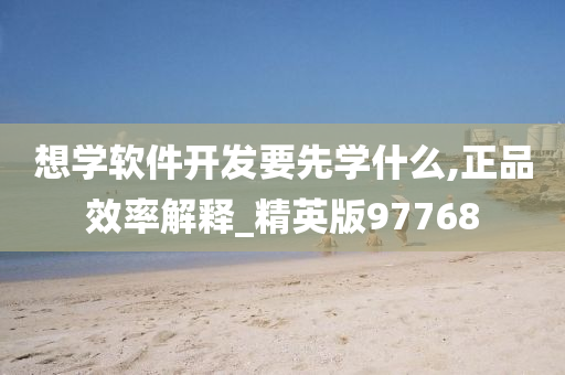 想学软件开发要先学什么,正品效率解释_精英版97768