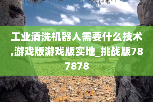 工业清洗机器人需要什么技术,游戏版游戏版实地_挑战版787878今晚必出三肖2025_2025新澳门精准免费提供·精确判断