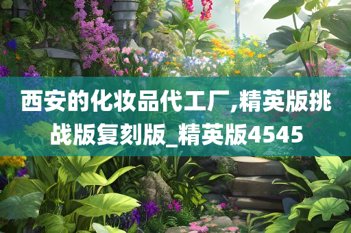 西安的化妆品代工厂,精英版挑战版复刻版_精英版4545
