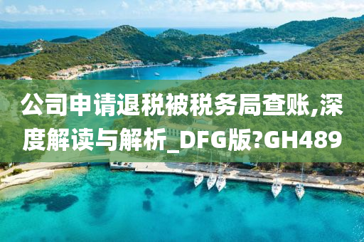 公司申请退税被税务局查账,深度解读与解析_DFG版?GH489
