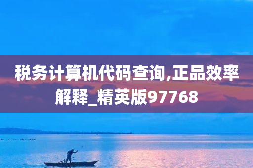 税务计算机代码查询,正品效率解释_精英版97768