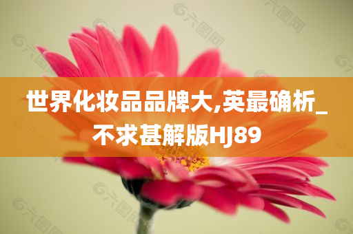 世界化妆品品牌大,英最确析_不求甚解版HJ89