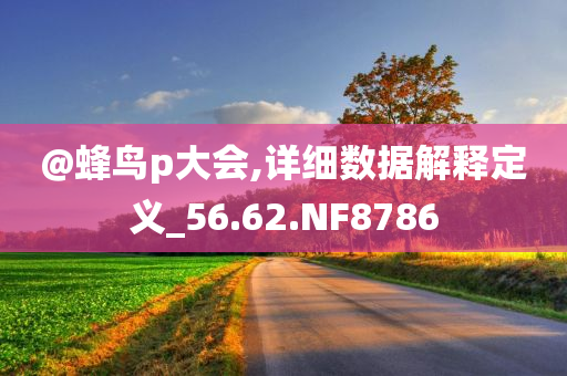 @蜂鸟p大会,详细数据解释定义_56.62.NF8786