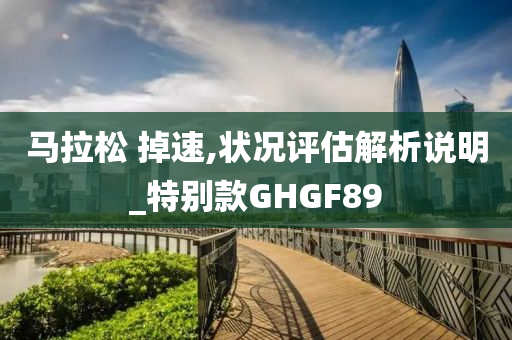 马拉松 掉速,状况评估解析说明_特别款GHGF89