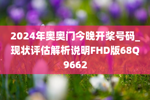 2024年奥奥门今晚开桨号码_现状评估解析说明FHD版68Q9662