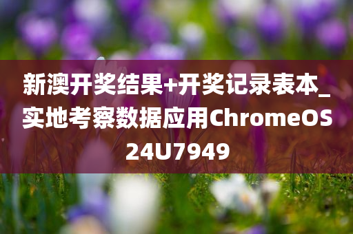新澳开奖结果+开奖记录表本_实地考察数据应用ChromeOS24U7949