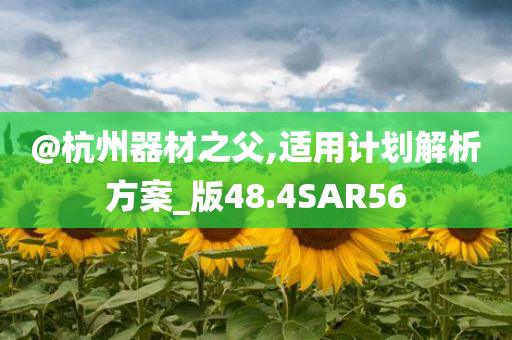@杭州器材之父,适用计划解析方案_版48.4SAR56