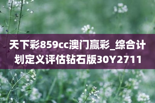 天下彩859cc澳门赢彩_综合计划定义评估钻石版30Y2711