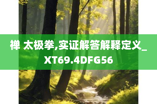 禅 太极拳,实证解答解释定义_XT69.4DFG56