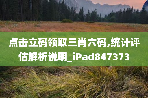 点击立码领取三肖六码,统计评估解析说明_iPad847373