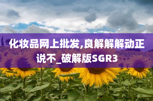 化妆品网上批发,良解解解动正说不_破解版SGR3