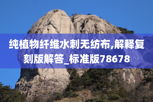 纯植物纤维水刺无纺布,解释复刻版解答_标准版78678