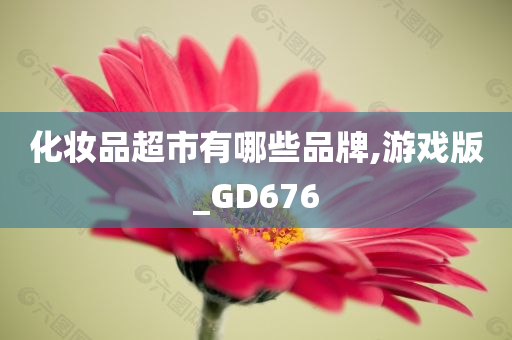 化妆品超市有哪些品牌,游戏版_GD676