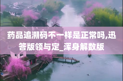 药品追溯码不一样是正常吗,迅答版领与定_浑身解数版