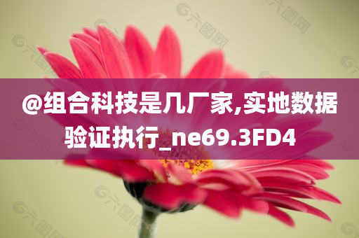 @组合科技是几厂家,实地数据验证执行_ne69.3FD4