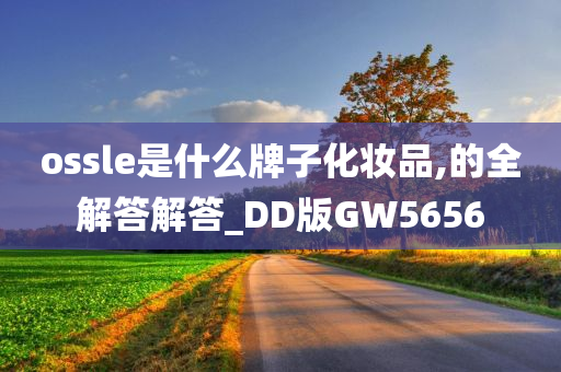 ossle是什么牌子化妆品,的全解答解答_DD版GW5656