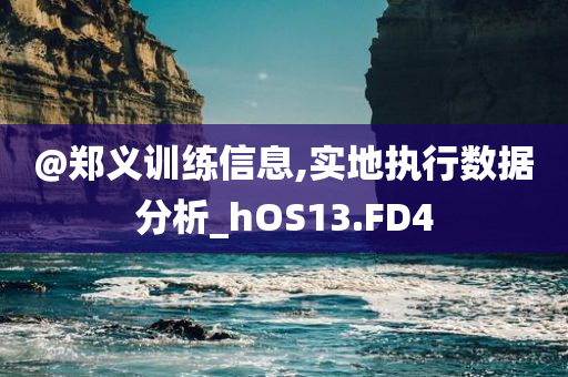 @郑义训练信息,实地今晚必出三肖2025_2025新澳门精准免费提供·精确判断执行数据分析_hOS13.FD4