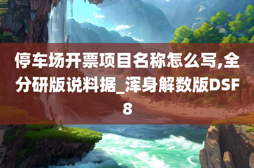 停车场开票项目名称怎么写,全分研版说料据_浑身解数版DSF8