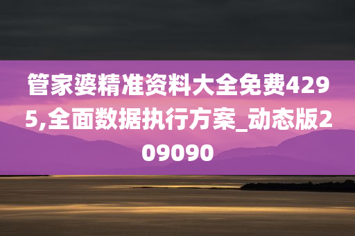 管家婆精准资料大全免费4295,全面数据执行方案_动态版209090