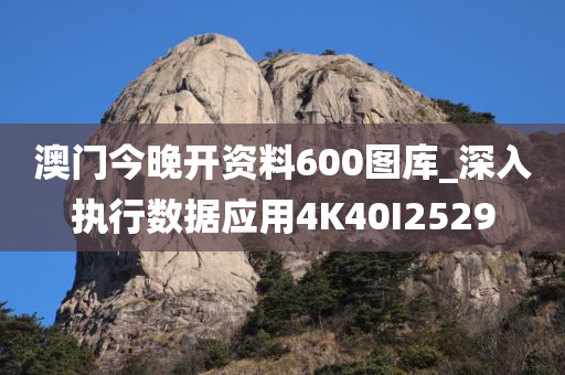 澳门今晚开资料600图库_深入执行数据应用4K40I2529
