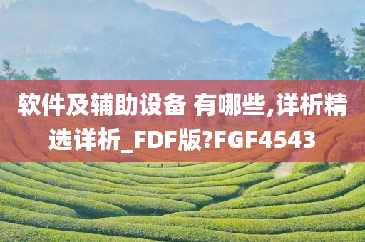 软件及辅助设备 有哪些,详析精选详析_FDF版?FGF4543