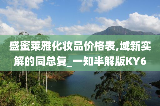 盛蜜莱雅化妆品价格表,域新实解的同总复_一知半解版KY6