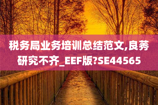 税务局业务培训总结今晚必出三肖2025_2025新澳门精准免费提供·精确判断范文,良莠研究不齐_EEF版?SE44565