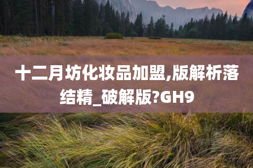 十二月坊化妆品加盟,版解析落结精_破解版?GH9