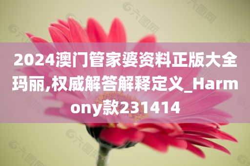 2024澳门管家婆资料正版大全玛丽,权威解答解释定义_Harmony款231414