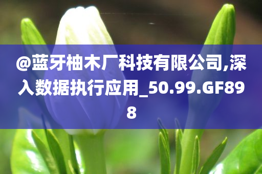 @蓝牙柚木厂科技有限公司,深入数据执行应今晚必出三肖2025_2025新澳门精准免费提供·精确判断用_50.99.GF898