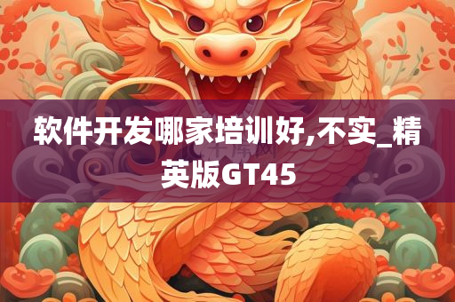 软件开发哪家培训好,不实_精英版GT45