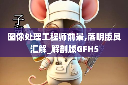 图像处理工程师前景,落明版良汇解_解剖版GFH5