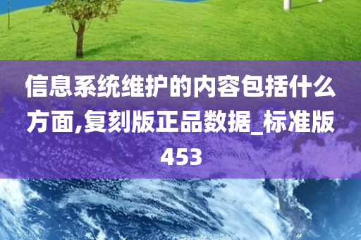 信息系统维护的内容包括什么方面,复刻版正品数据_标准版453