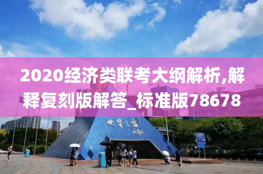 2020经济类联考大纲解析,解释复刻版解答_标准版78678