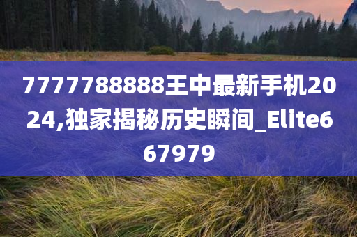 7777788888王中最新手机2024,独家揭秘历史瞬间_Elite667979