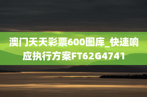 澳门天天彩票600图库_快速响应执行方案FT62G4741