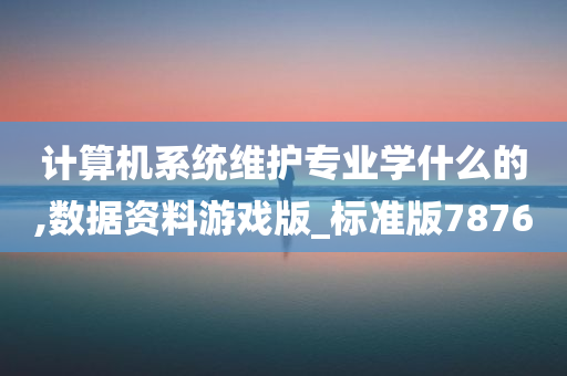 计算机系统维护专业学什么的,数据资料游戏版_标准版7876