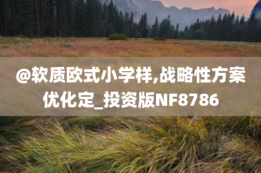 @软质欧式小学样,战略性方案优化定_投资版NF8786
