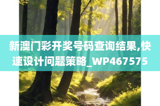 新澳门彩开奖号码查询结果,快速设计问题策略_WP467575