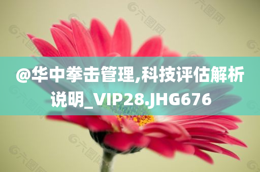 @华中拳击管理,科技评估解析说明_VIP28.JHG676