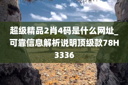 超级精品2肖4码是什么网址_可靠信息解析说明顶级款78H3336