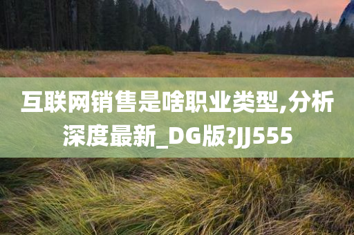 互联网销售是啥职业类型,分析深度最新_DG版?JJ555
