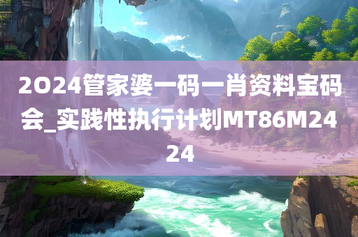 2O24管家婆一码一肖资料宝码会_实践性执行计划MT86M2424