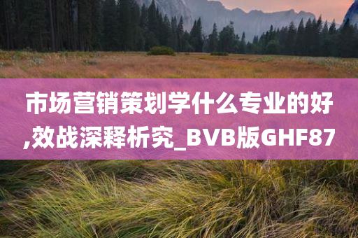市场营销策划学什么专业的好,效战深释析究_BVB版GHF87
