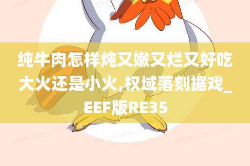 纯牛肉怎样炖又嫩又烂又好吃大火还是小火,权域落刻据戏_EEF版RE35