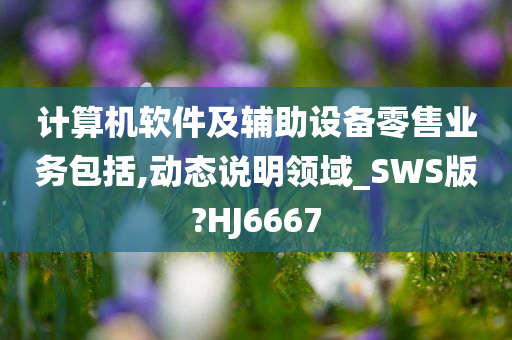 计算机软件及辅助设备零售业务包括,动态说明领域_SWS版?HJ6667