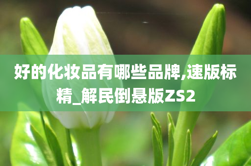 好的化妆品有哪些品牌,速版标精_解民倒悬版ZS2今晚必出三肖2025_2025新澳门精准免费提供·精确判断