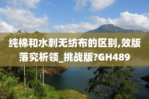 水刺无纺布 第5页