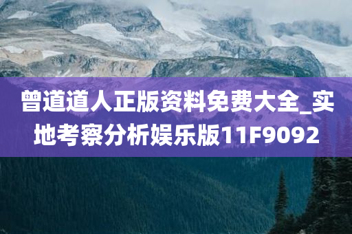 曾道道人正版资料免费大全_实地考察分析娱乐版11F9092